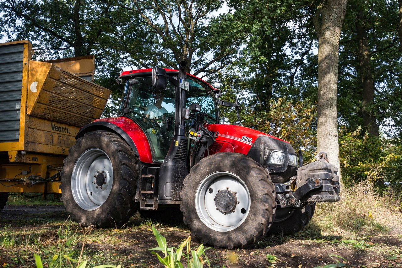 Bild 211 - Maisernte